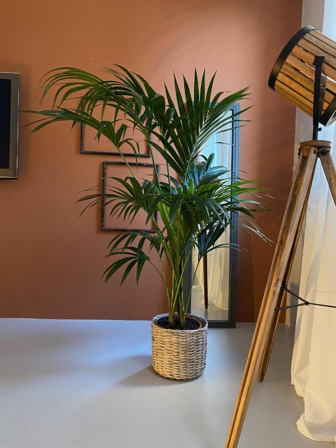 Casimiro Rooms チェゼーナ エクステリア 写真